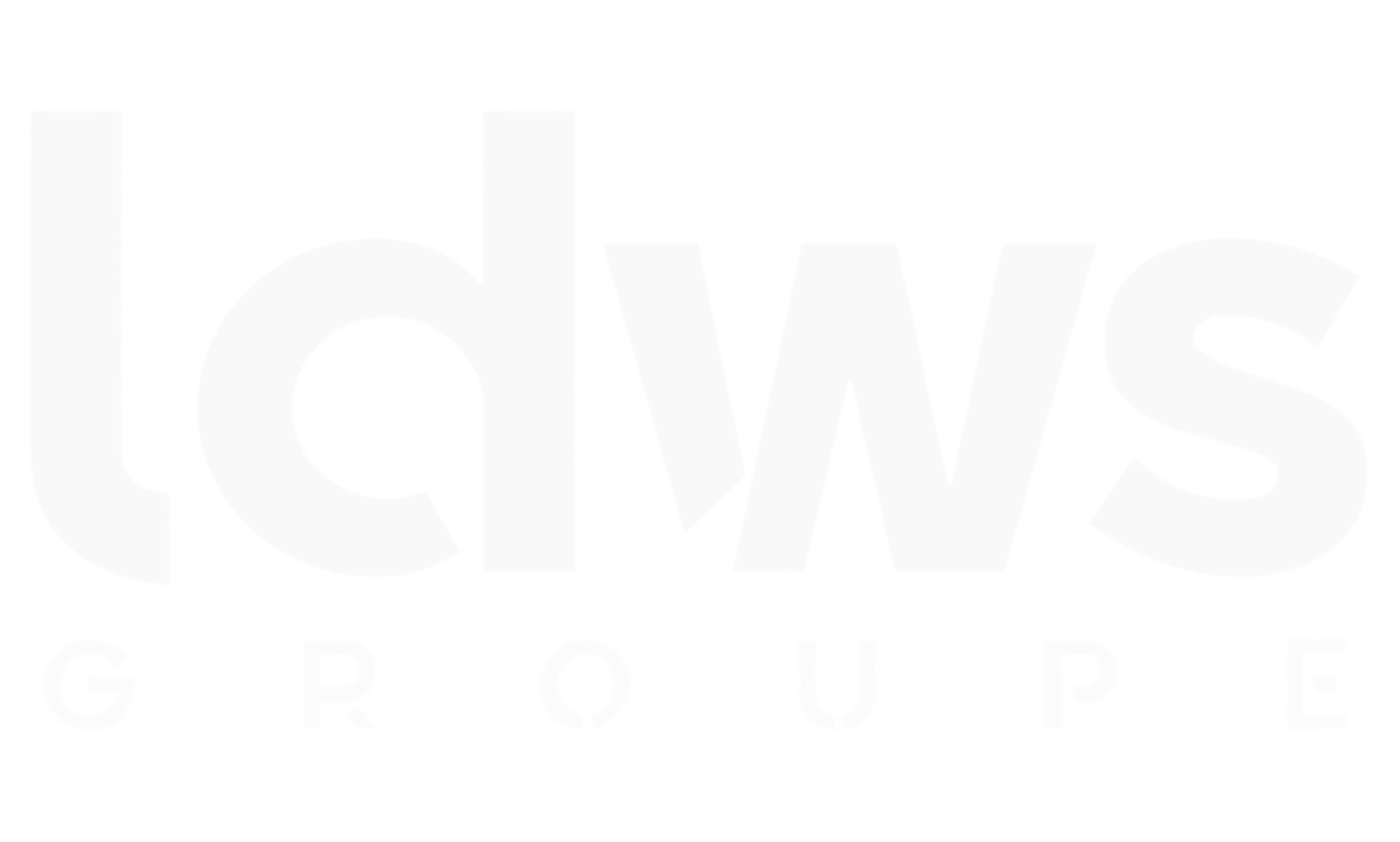 LDWS Groupe