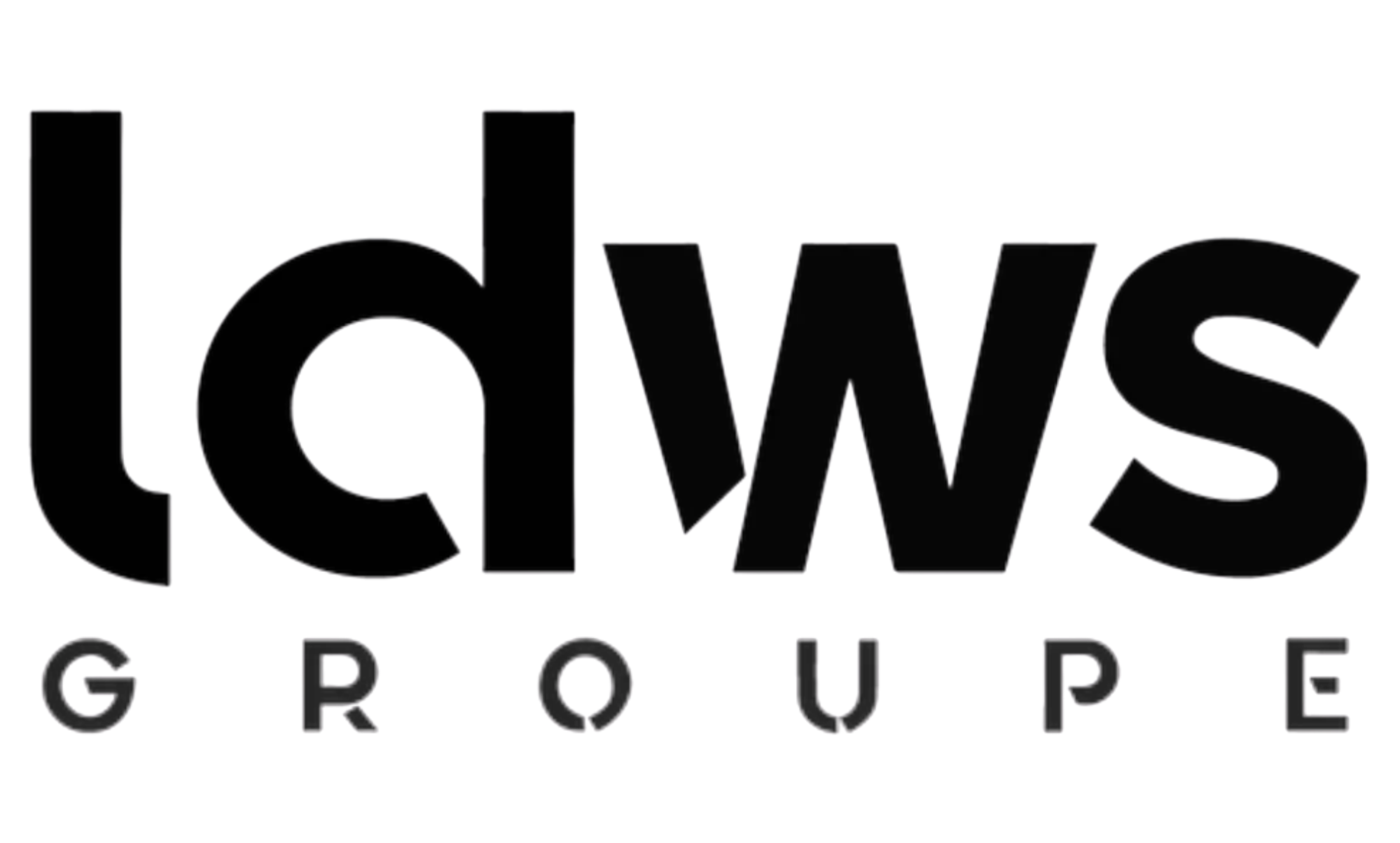 LDWS Groupe